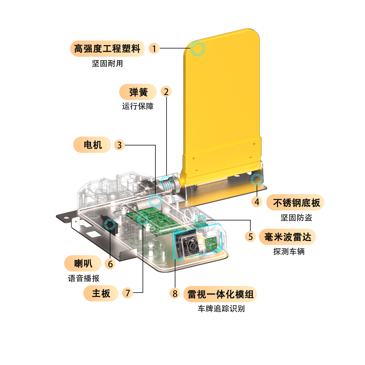 A01结构