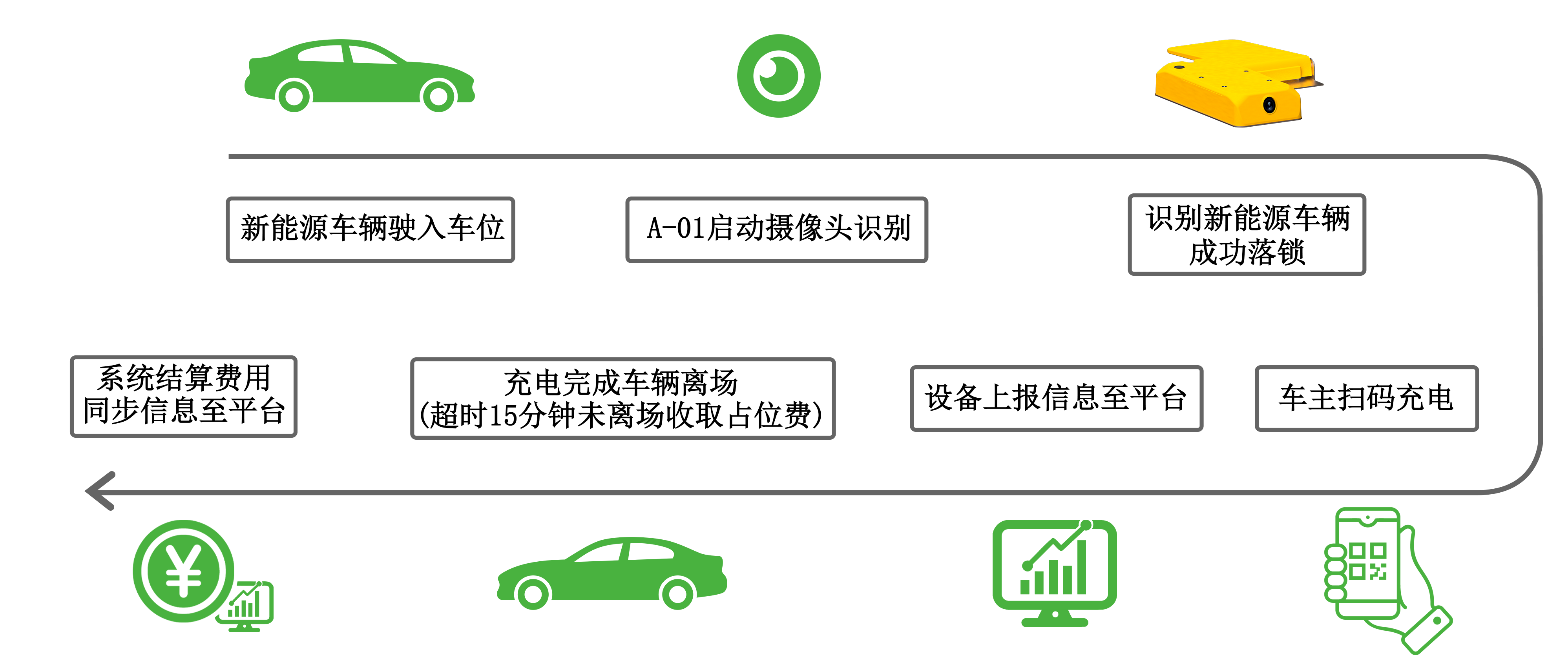 绿牌识别通过